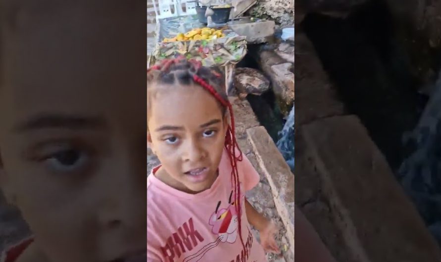 Conoce Marruecos viajando con Sara | Manantial oum rabia, Marruecos